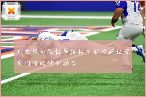 利兹联与维拉争抢铃木彩艳这位优秀门将的转会动态